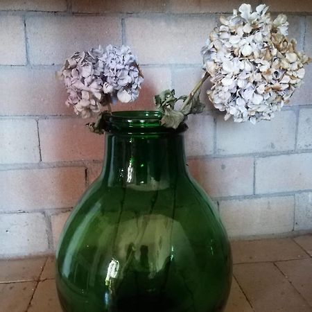 Apartamento La Cuppulata Budoni Exterior foto