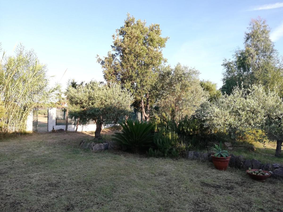 Apartamento La Cuppulata Budoni Exterior foto