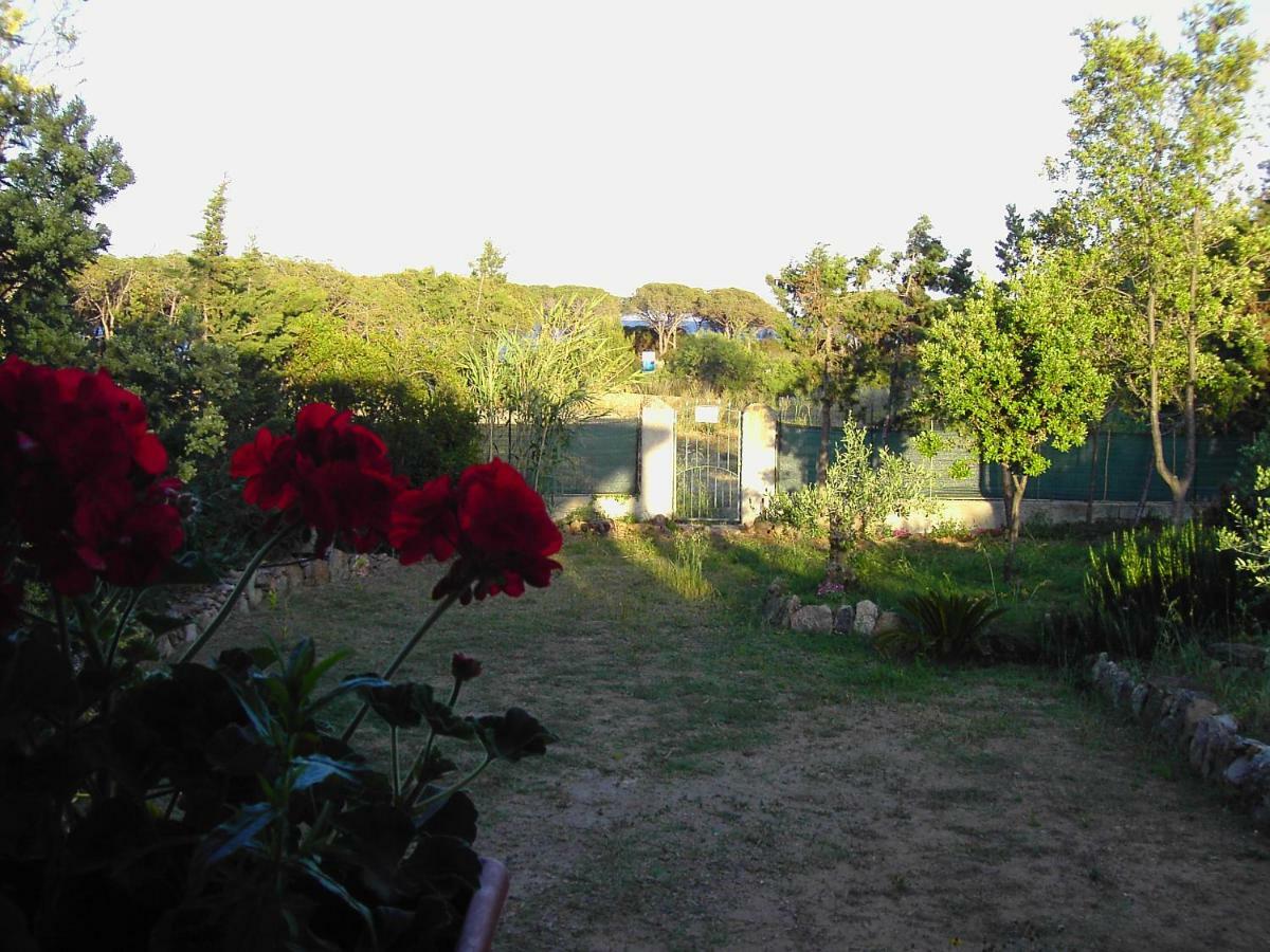 Apartamento La Cuppulata Budoni Exterior foto